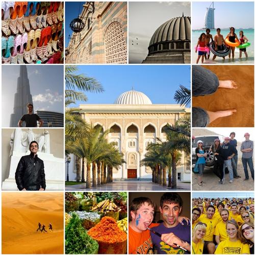 AUS Study Abroad 500